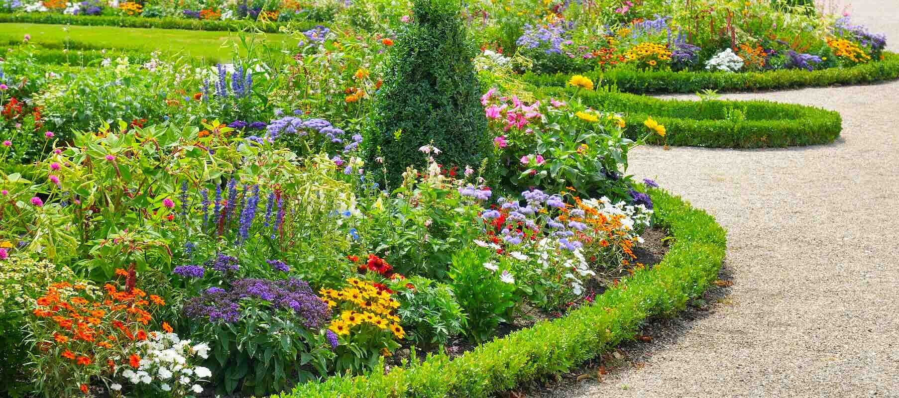 Lush garden with vibrant flowers and greenery.