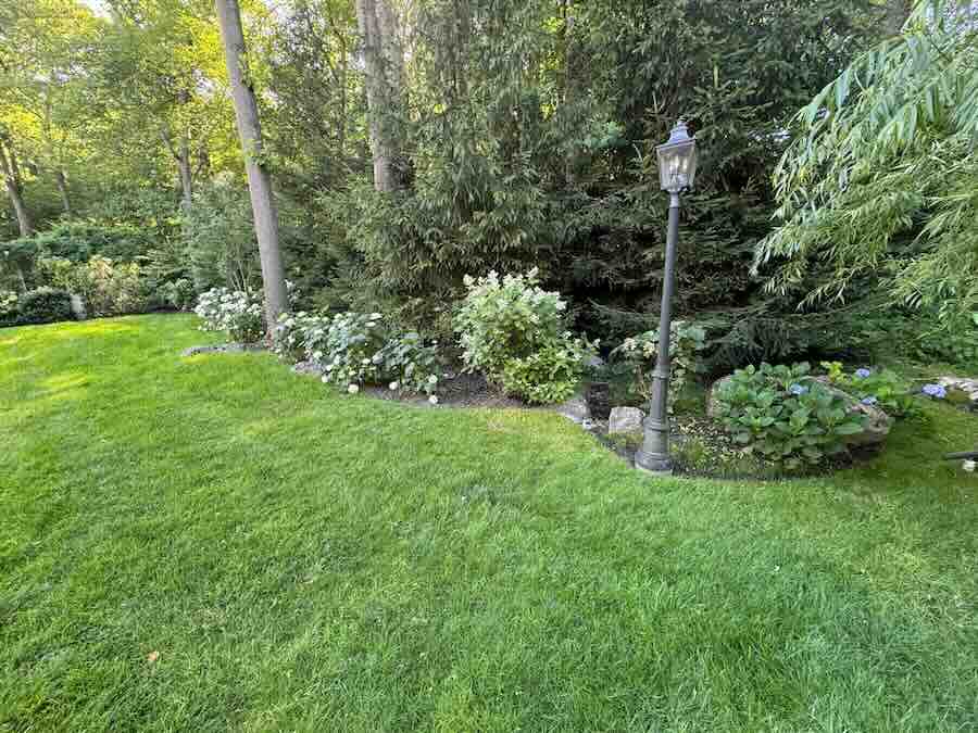 Lush garden with lamp post and flowers