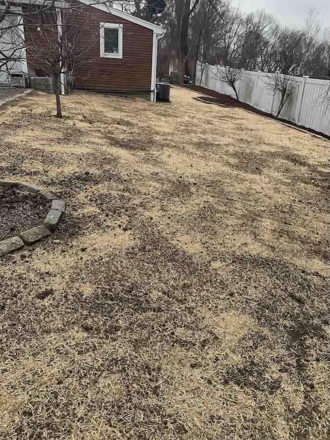Backyard with brown grass and wooden house