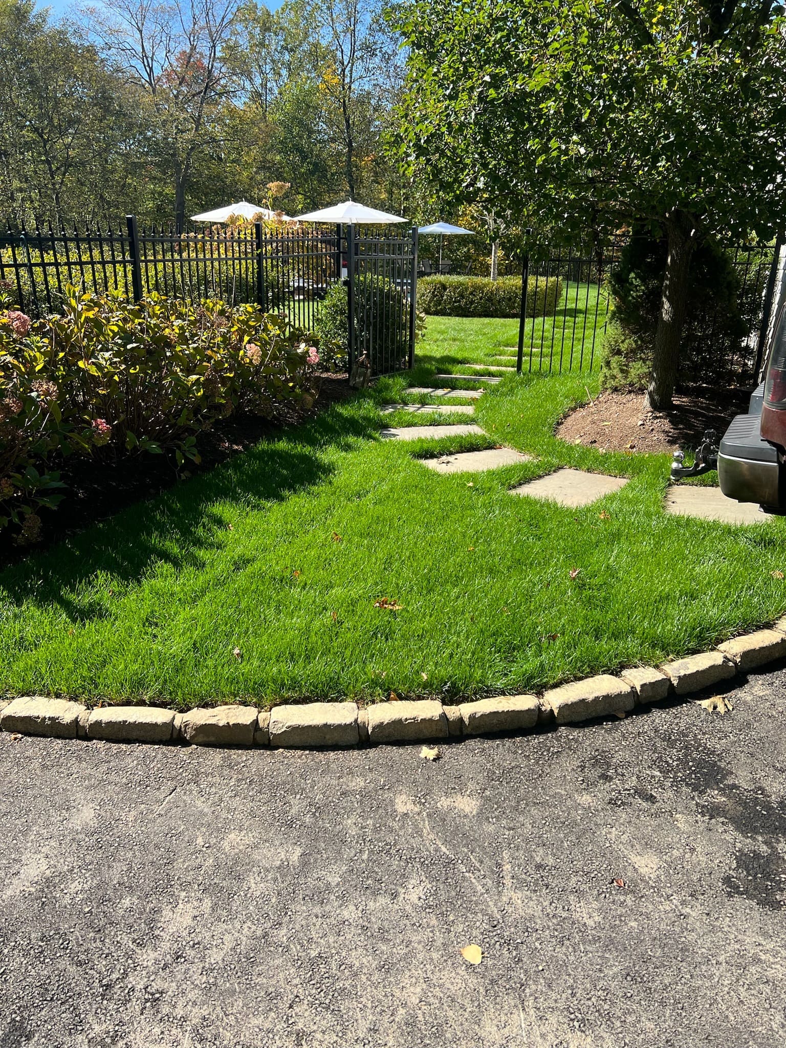 lawn and pathway