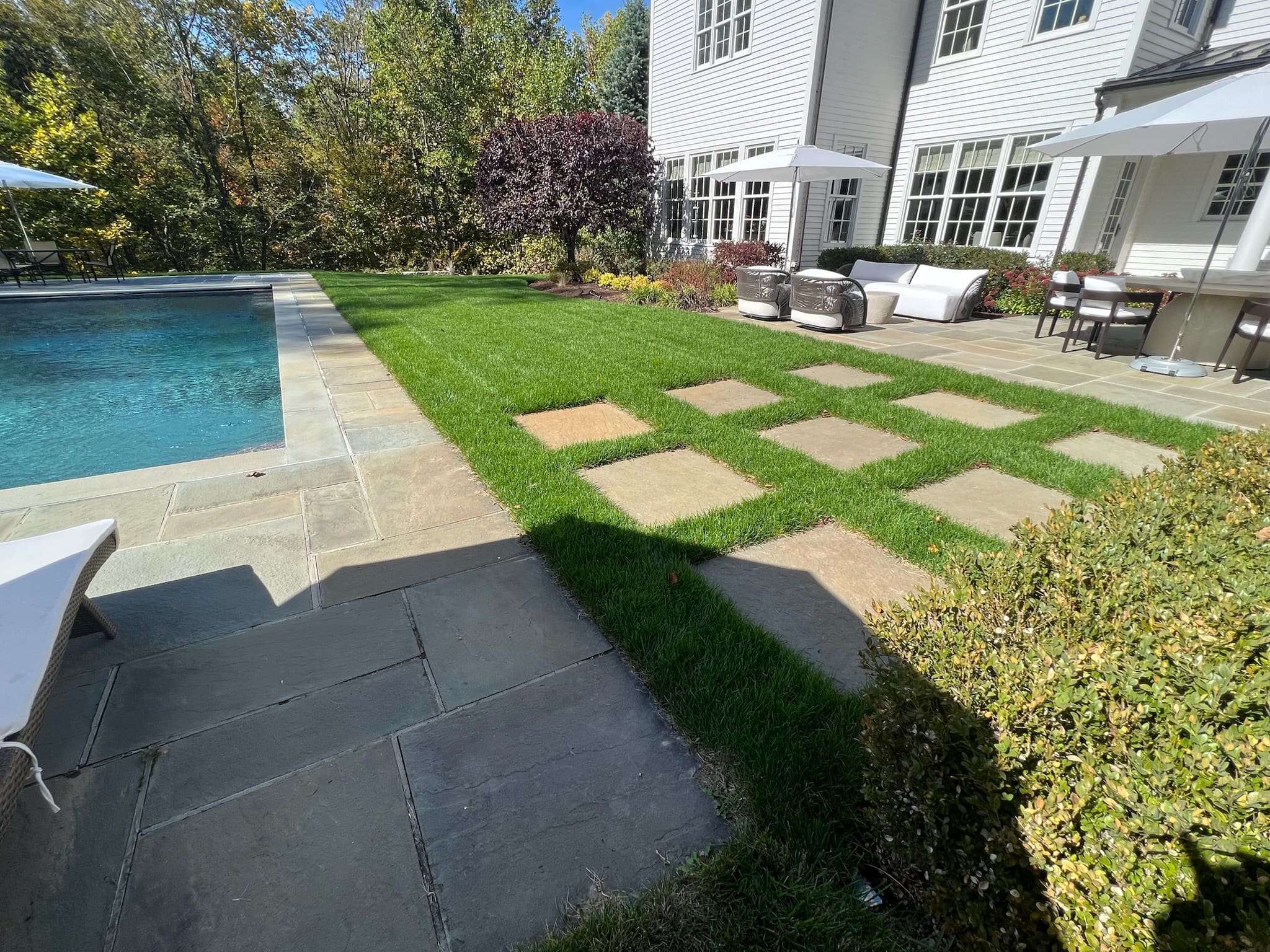 Backyard with pool