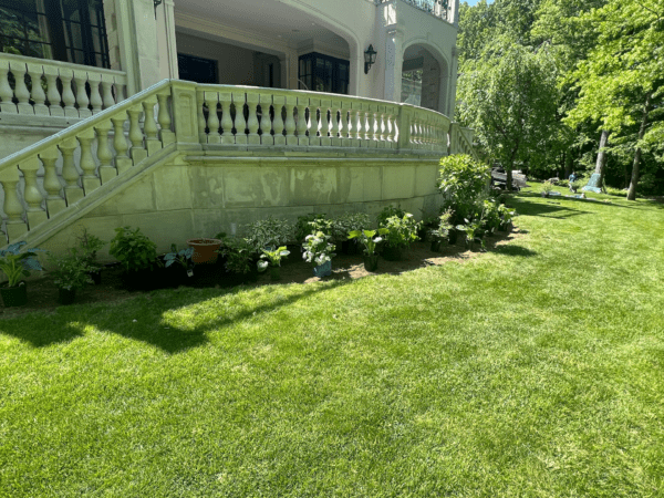 Your Backyard Reimagined with New Total England Landscaping