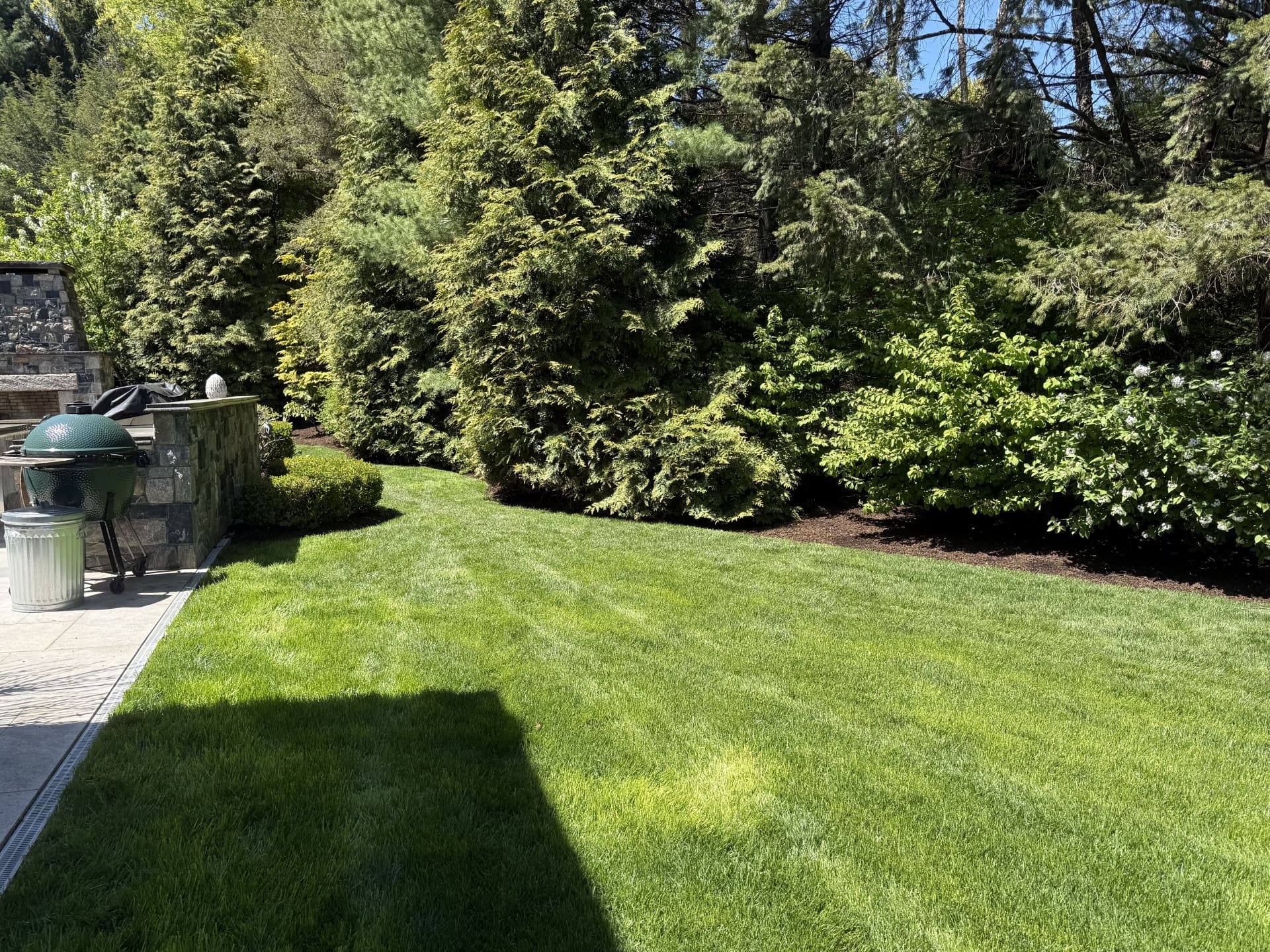 aeration and overseeding