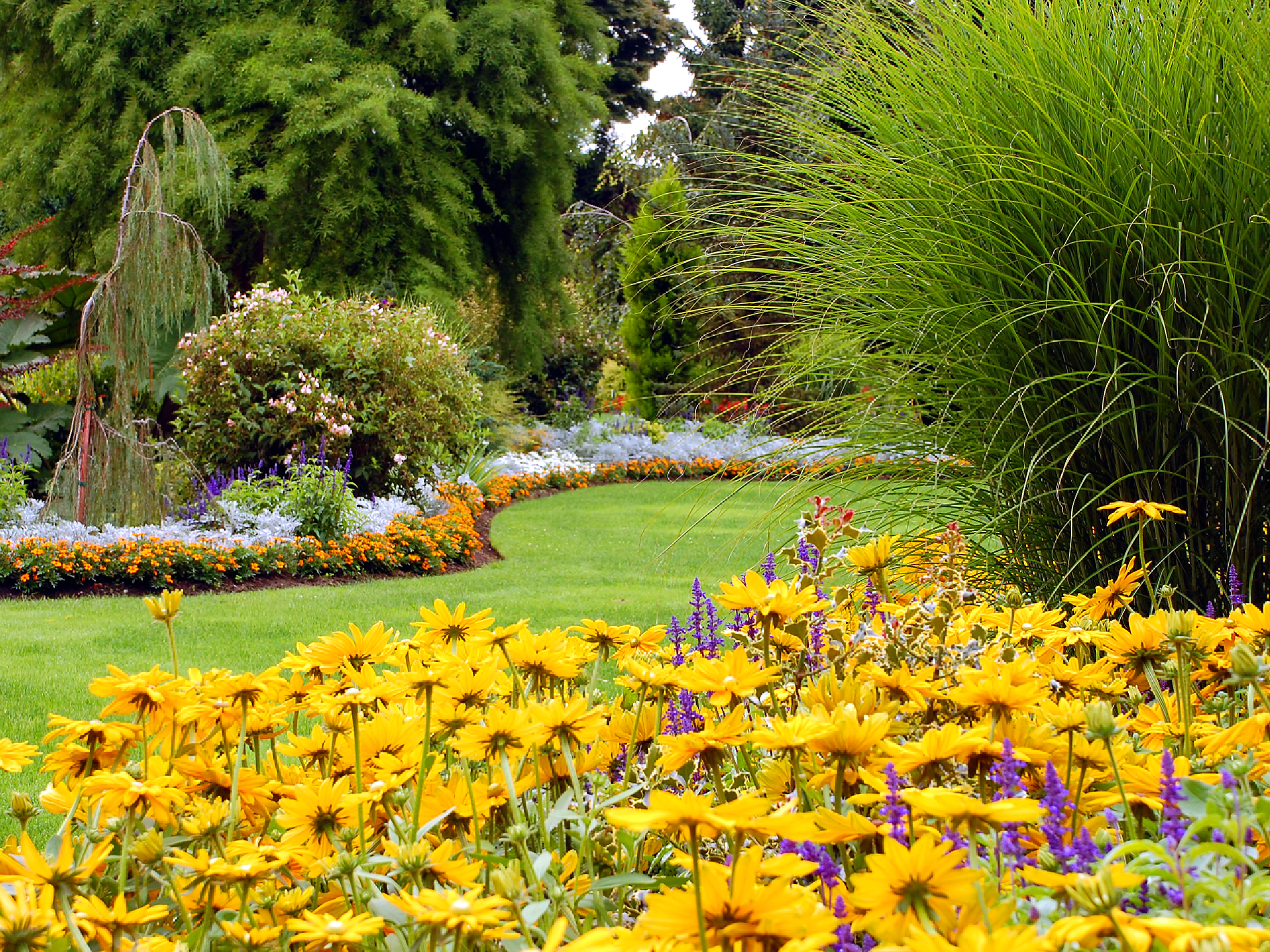 annual flower program