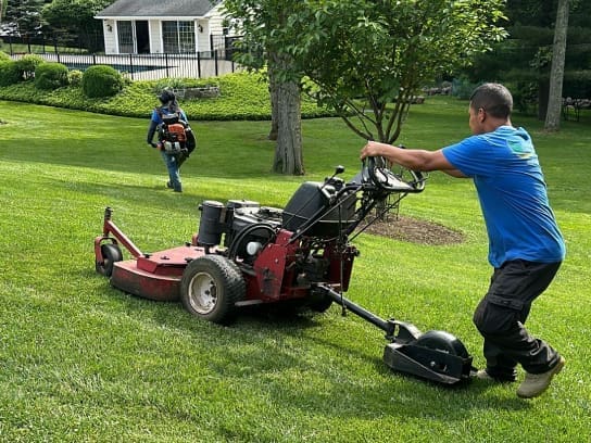 lawn care