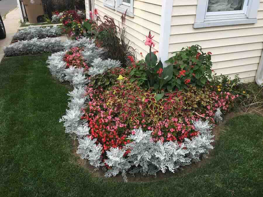 Flower garden with pink and white flowers
