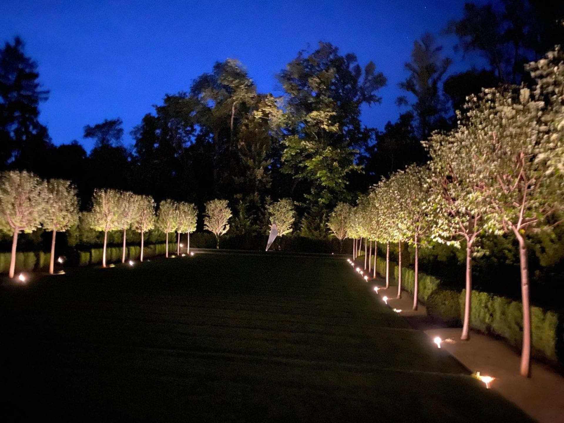 landscape lighting