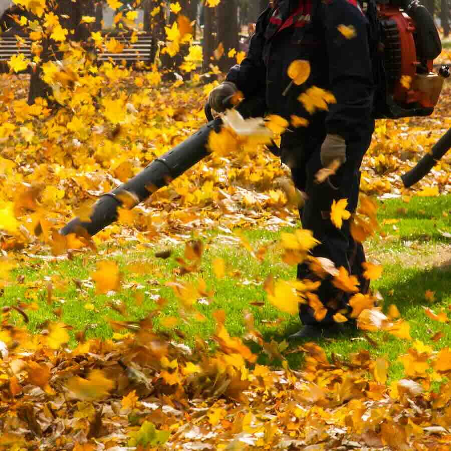blowing leaf operating a blower