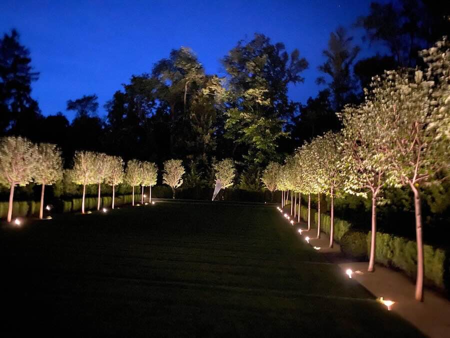 Illuminated trees line a path at night