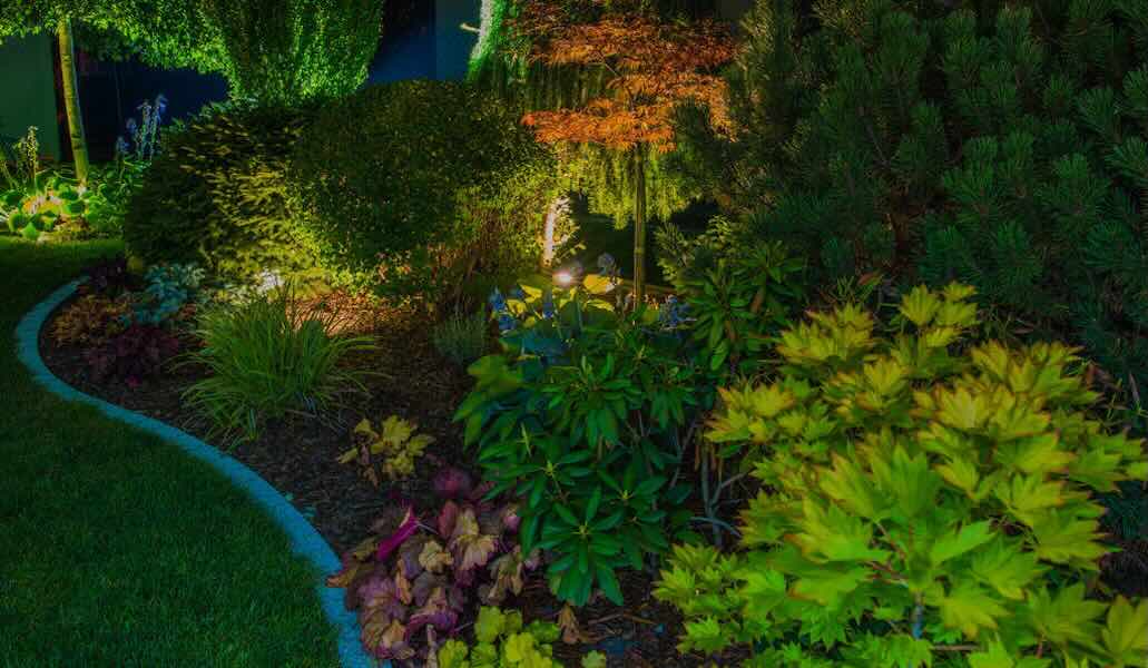 Illuminated garden with lush greenery and shrubs