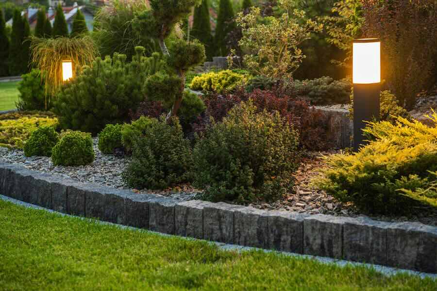 Illuminated garden path with diverse plants at dusk.