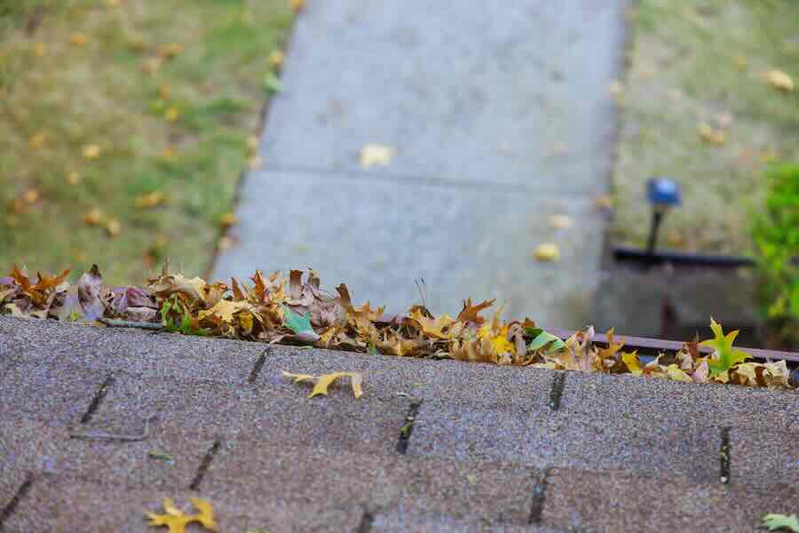Yellow leaves are covered with iron gutter cover on a roof with leaves on the outside.