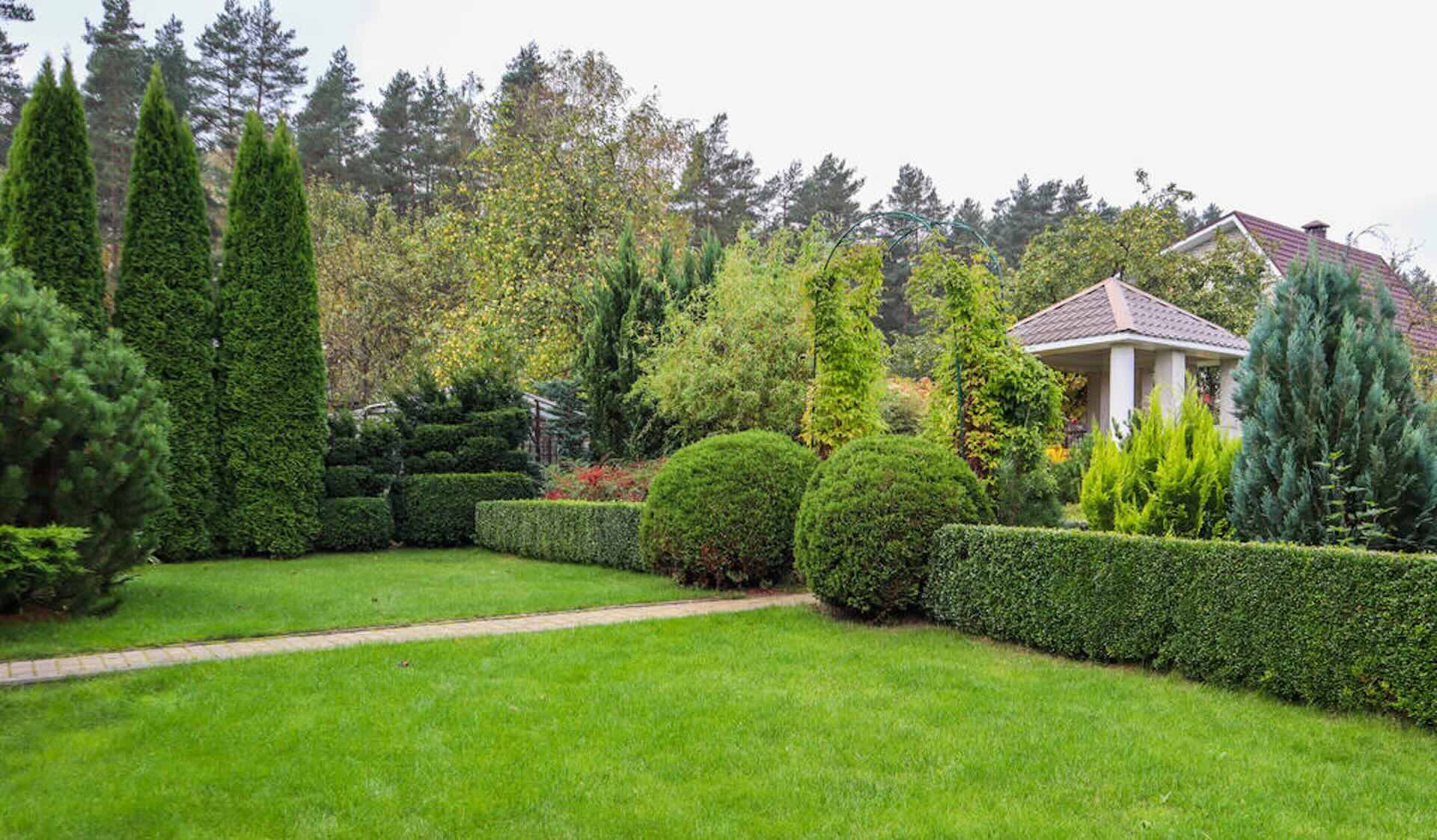Beautiful green garden with trimmed hedges and trees.